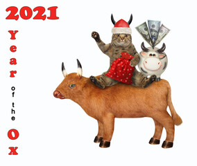 A cat in a horned Santa Claus hat with a bag of gifts and a money box sits on an ox. White background. Isolated.