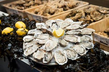 Plat d'huîtres 