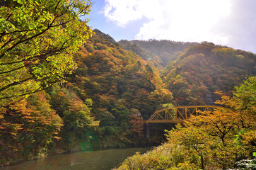 赤芝峡の紅葉
