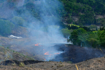 樽口峠の野焼き