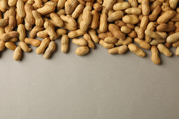 Peanut in shell on gray background, space for text