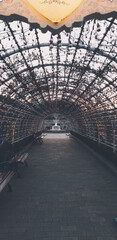 bridge in the city