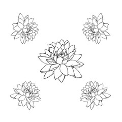 Silhouettes of Lotus flowers. Set of five vector illustrations. tattoo illustration