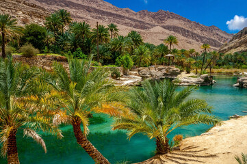 Oasis in the desert of Oman - obrazy, fototapety, plakaty