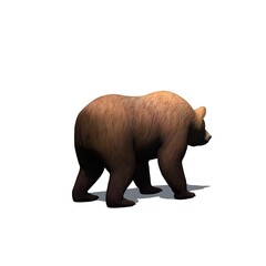 Wild animals - bear is walking in view from behind with shadow on the floor - isolated on white background - 3D illustration