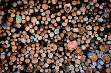 Brennholz © Superingo