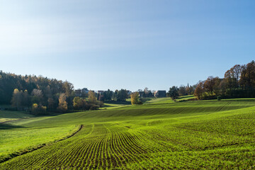 Frisch angesäte Felder sprießen grün aus dem Boden heraus. Landschaftsbild von den Feldern in Lindenhardt. Bäuerliche Wohnhäuser im Hintergrund. Bayern, Deutschland, 2020.  Viel blauer Himmel)