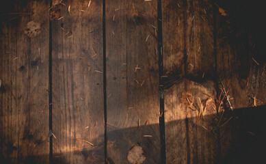 Wooden background. texture from annual rings. Colorful.