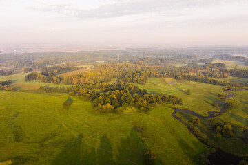 Obraz premium Trees casting long shadows on meadow with green grass in summer nature scene. Drone view on riparian forest with river arm at sunrise. Wilderness from above.