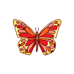 A red and orange butterfly