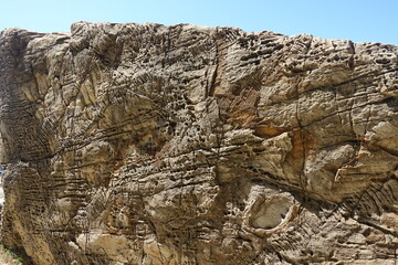 marine fossils on the adriatic sea