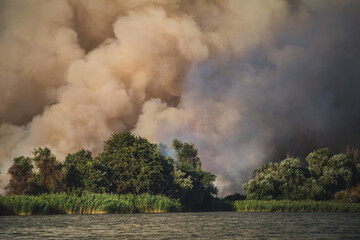 Large clouds of smoke, fire in nature.