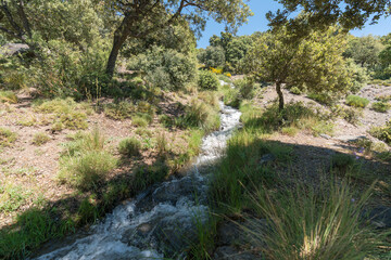 Crystal clear water flowing through a ditch