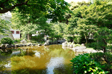 Fototapeta na wymiar 日本庭園（横網町公園：横網）