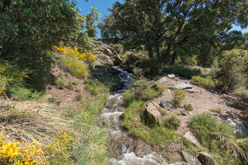 Crystal clear water flowing through a ditch