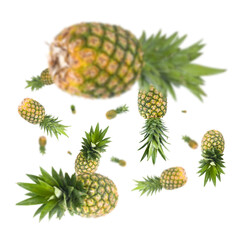 Many pineapples free falling on white background. Selective focus - shallow depth of field.