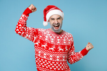 Joyful Northern bearded man frozen icy face in Santa hat Christmas sweater clenching fists like winner isolated on blue background studio. Happy New Year celebration merry holiday winter time concept.