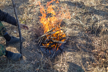 cooking on an open fire. Frying food over a bonfire on a wooden branch - pricking spears in nature. Close-up of a hand. The scouts are preparing lunch.