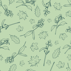 Leaves and berries green nature vector pattern background. Seamless pattern with hand-drawn botanical illustrations.