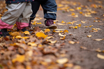 Spielende Kinder im Wald, es sind nur die Beine sichtbar