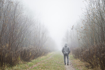 One adult young man in gray warm clothes walking on natural trail. Cold overcast foggy autumn day. Spending time alone in nature. Back view.