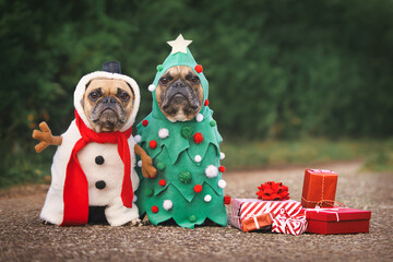 Dogs in Christmas costumes. Two French Bulldogs dresses up as funny Christmas tree and snowman with...
