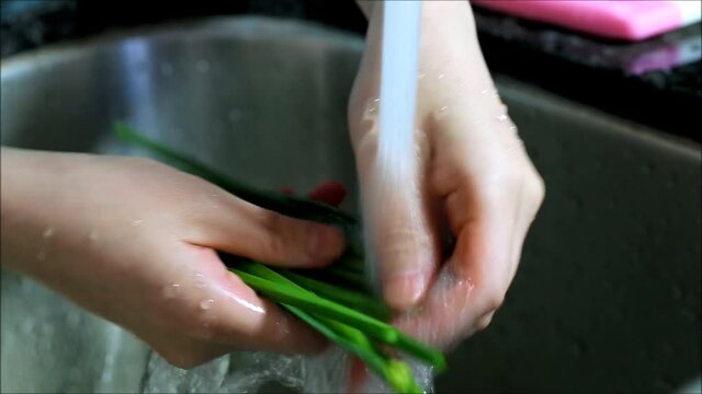 Close up female hands washing vegetables