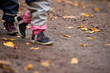 Kinderbeine auf einem Waldweg