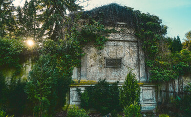 old, mystical tomb overgrown with ivy