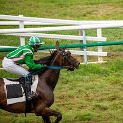 Course hippique, cheval de course en action avec son jockey.