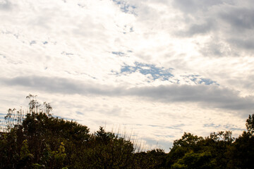 秋の空