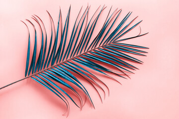 Abstract blue palm leaf on pink background