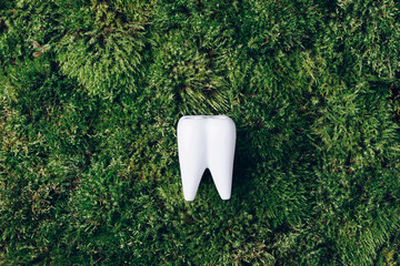 Toothbrush stand shaped primary tooth on green moss background. Top view. Copy space Signboard for...
