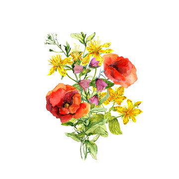 Floral bouquet, wild flowers poppies, hypericum, grass . Watercolor botanical illustration