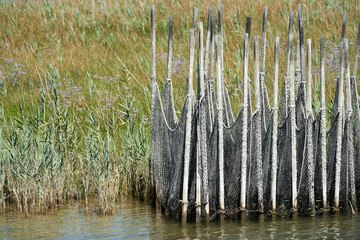 Fishing nets for the lagoon