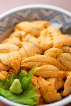 「ウニ丼」の写真素材 | 1,482件の無料イラスト画像 | Adobe Stock