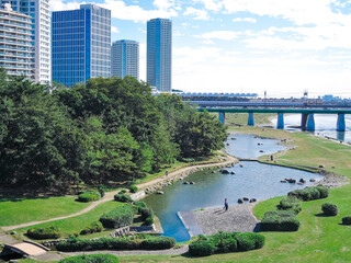 Fototapeta premium 快晴の二子大橋から 多摩川河川敷の兵庫島公園