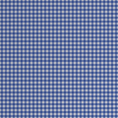 Background of simple blue-white cotton checkered fabric, tablecloth texture. 3D-rendering