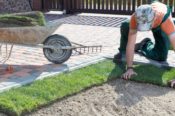 person working in the garden