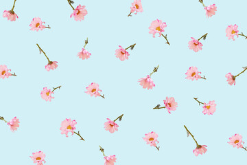 Flower blossom pattern on blue background.