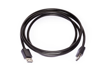 DisplayPort cable with full-size connectors on a white background