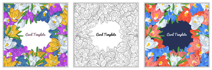 Set of square greeting card templates with hand drawn colorful and monochrome crocus flowers frame. Vector illustration
