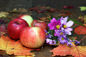 Beautiful autumn still life of leaves, flowers and apples