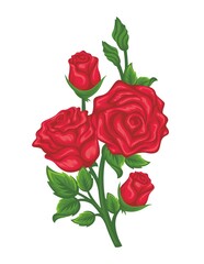 Vector of branches of red roses isolated on a white background. - Vector
