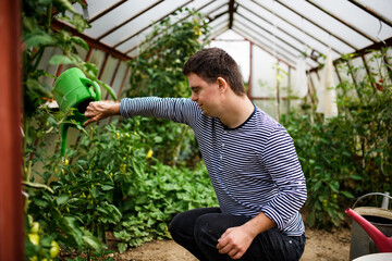 Down syndrome adult man watering plants in greenhouse, gardening concept.