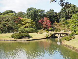 Fototapeta premium 日本庭園の池と青空