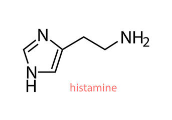 Histamine chemical structural formula out line vector design illustration