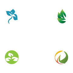 Fototapeta na wymiar Set Leaf Logo Template vector symbol