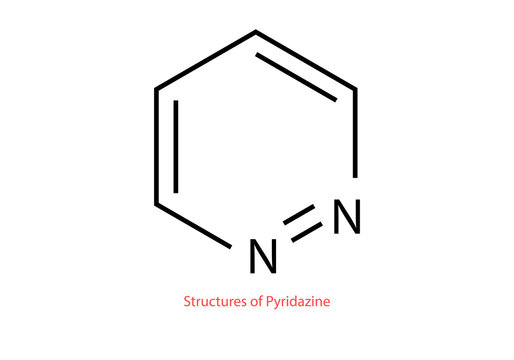 chemical structure of pyridazine vector design illustration
