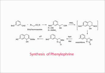synthesis of phenylephrine vector design illustration